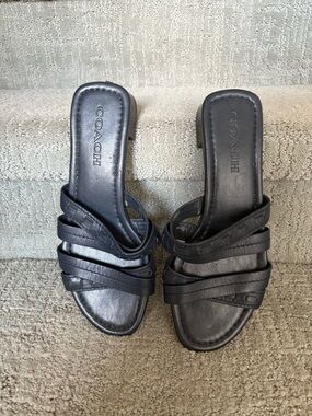 COACH Navy Strappy Mule Sandals